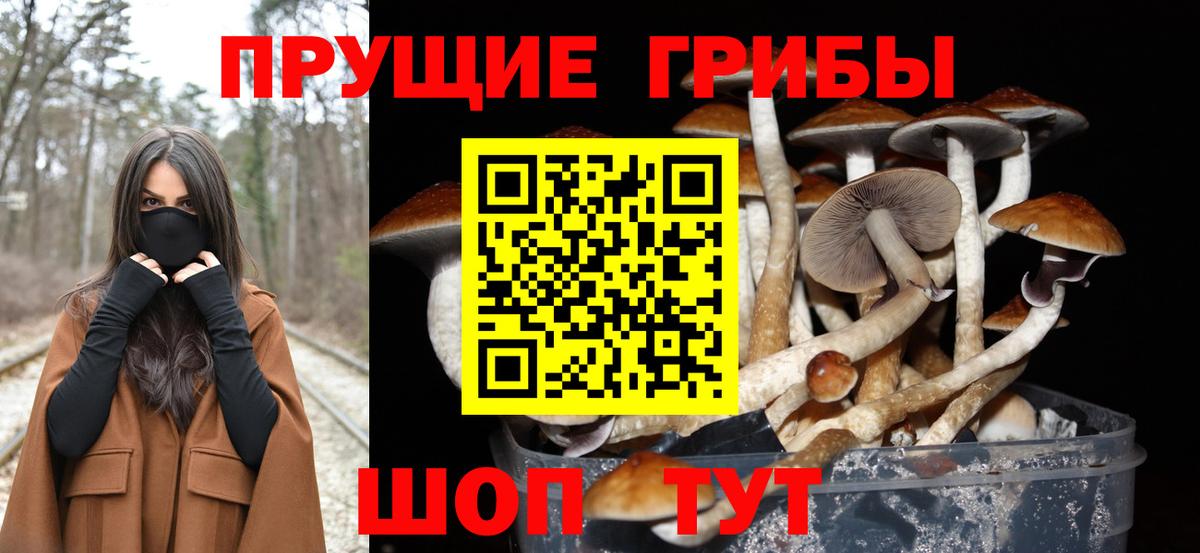 Галлюциногенные грибы GOLDEN TEACHER Коломна