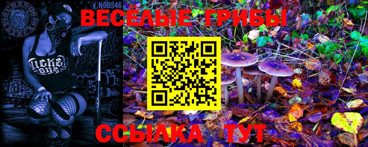 Коломна  Псилоцибиновые грибы мухоморы  Псилоцибиновые грибы Magic Shrooms  Вход с VPN 